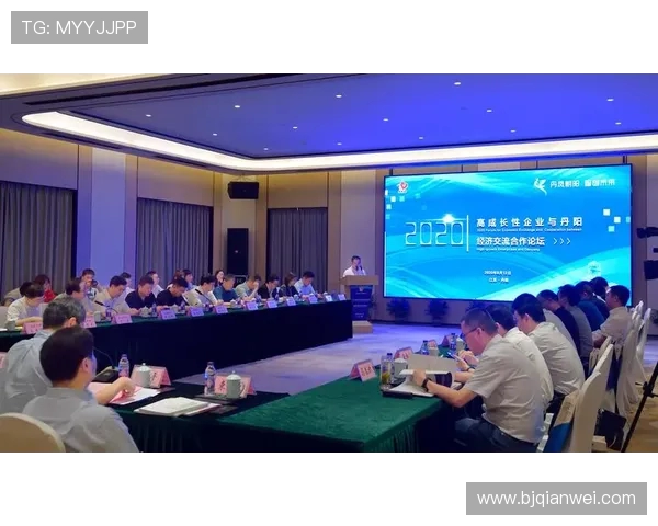 武汉极限运动队的秘密探索与控制机制深度剖析